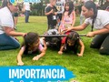 Conoce la importancia de jugar al aire libre:  1️⃣ ¡Sanos y fuertes! El juego al aire libre está conectado directamente al deporte, a correr, saltar y mantenerse activos. Ayudará a los niños a respirar aire puro, desarrollar su coordinación y a prevenir la obesidad. Les dará energía y mejorará sus capacidades físicas.  2️⃣ Independencia Aunque siempre es importante vigilarlos, jugar al aire libre permitirá que organicen sus juegos con otros niños. Es esencial que aprendan a relacionarse por su cuenta y a desarrollar habilidades como el liderazgo y el trabajo en equipo.  3️⃣ Creatividad e imaginación Un parque o una playa tendrán siempre muchos más elementos de estimulación que las paredes de una casa o un departamento. Recuerda que entre los 4 y 7 años, los niños sienten gran curiosidad por su entorno, por tanto, la parte más creativa tendrá un rol preponderante en su aprendizaje. ¡Qué mejor que contar con parques cercanos a casa!  4️⃣ Habilidades sociales En espacios verdes, los niños se relacionan rápida y fácilmente. Comienzan a practicar diferentes roles, afrontan sus temores y aprenden a compartir, aún si no tienen hermanos.  5️⃣ Recuerdos para siempre Lo que más atesoramos cuando somos pequeños son aquellos momentos especiales en los que nos sentimos totalmente libres y que tuvieron algún detalle especial. Nadie recuerda una tarde viendo televisión, pero sí aquella en la que disfruto un juego infinito con sus amigos.  Te esperamos en nuestras Vacaciones Recreativas 🥳🥳🥳  Comunicate con nosotros en horario de oficina de lunes a viernes 8:00am-12:00m y de 2:00pm-6:00pm, sábados de 8:00am-12:00m escribe o llama al 📱3043783915  @erika_melo09⠀⠀ @patricia_atuesta19⠀⠀⠀⠀ @jhoeobregon⠀⠀⠀⠀⠀ @zeii30⠀⠀⠀⠀ @isamg_27 @angy_beltran @maevelasquez25 @paulacontreraspava11 @tau.ed.ann @nuryelizabeth15 @ronaldarake14⠀ @clubdeequitacionconsentidos⠀  ⠀⠀ ⠀⠀  #vacacionesrecreativas #terapiaocupacional #psicologia #fonoaudiologia #hidroterapia #fisioterapia #equinoterapia #aprendizaje #segurosbolivar #mapfre #consentidos #consentidossas #consentidoscucuta #terapias #niños #juguetes #asesoriaspedagogicas #cucuta #villadelrosario #lospatios #nortedesantander #colombia️️