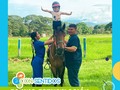 La interacción entre el niño 👦🏻👧🏻 y el caballo 🐎 estimula los 5 sentidos, pues ésta es una práctica multisensorial 😍  Comunicate con nosotros en horario de oficina de lunes a viernes 8:00am-12:00m y de 2:00pm-6:00pm, sábados de 8:00am-12:00m escribe o llama al 📱3043783915  @erika_melo09⠀⠀ @patricia_atuesta19⠀⠀⠀⠀ @jhoeobregon⠀⠀⠀⠀⠀ @scar.224b @zeii30⠀⠀⠀⠀ @isamg_27 @angy_beltran @maevelasquez25 @paulacontreraspava11 @tau.ed.ann @nuryelizabeth15 @ronaldarake14⠀ @clubdeequitacionconsentidos⠀  ⠀⠀ ⠀⠀  #vacacionesrecreativas #terapiaocupacional #psicologia #fonoaudiologia #hidroterapia #fisioterapia #equinoterapia #aprendizaje #segurosbolivar #mapfre #consentidos #consentidossas #consentidoscucuta #terapias #niños #juguetes #asesoriaspedagogicas #cucuta #villadelrosario #lospatios #nortedesantander #colombia️