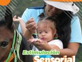 ESTIMULACION SENSORIAL😃  En esta oportunidad trabajamos con nuestra consentida🥰 monta gemelar sobre el equino, realizando estimulación sensorial a través de texturas secas, cómo lo son avena,arroz,maíz🌽, esto con el fin de contribuir en la integración de todos los sistemas de organización corporal mejorando el aprendizaje significativo y habilidades psicomotrices logrando mayor adaptación al entorno🌿🌻  ¡Comunicate! Al📲3043783915 para más información 😊   @erika_melo09  @patricia_atuesta19  @jhoeobregon  @scar.224b @zeii30  @isamg_27 @angy_beltran @maevelasquez25 @paulacontreraspava11 @tau.ed.ann @ronaldarake14  @clubdeequitacionconsentidos        #equinoestimulación #equinoterapia #caballos #horse #fisioterapeutacúcuta #hidroterapiacúcuta #terapiaocupacional #fonoaudiologia #psicologia #hidroterapia #equinoterapia #consentidossas #consentidoscucuta #terapias #niños #cucuta #villadelrosario #lospatios #nortedesantander #colombia️ #ips