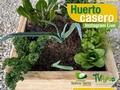 Mañana los esperamos en este Instagram Live a las 10 a.m. @tvagro