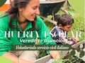 Nuestra huerta escolar en la escuela rural de la vereda La Asunción en @marinillaantioquia hace parte del Voluntariado del Servicio Civil Italiano como parte del programa de educación al cuidado del #medioambiente y #agroecologia  Semanalmente nos encontramos y trabajamos temas distintos de #ecología por medio de talleres, cocina, clases y trabajo en la #huerta.  ‌  #fundacion #agro #tecnologia #salvaterra #Agricultura