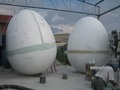 Los huevos que me faltaron para decirle al profe que me gustaba 😔