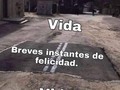 Buenos días amics ✨