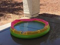 Yo pongo la piscina. Tráiganse la carne y las chelas ¿Quién jala?