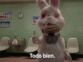 Cuando me preguntan cómo voy en la u  Yo: -...