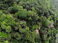 Reserva Natural Mata Fresca 🌳🌳🌳 500 hectáreas de selva para proyectos de investigación, visita de universidades y turismo en general inf. 3163136282  El trabajo reflejado de mi padre en varias décadas Dios me Bendiga este viejo sabio.🙏🏻💪🏻 #fauna #flora #riquezanatural 🌳🌲🎋🌵🍀🍄🍂🐅🐂🦌🐆🦍🐠🦐🐍🐞🐝🐗🐺🦆🦅🦉🦇🐥🐒🐒🐒🐒🦁🦊🐨🐯🐸🐷🦂🦀🦎🐜🕷🦋🦋🦋🦋🐛🐚🐖🐑🐏🐿🐿🦃🐾🐾🐾🌸🌺🌹🍀🍂🌷🌹
