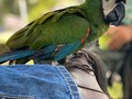 #reservanaturalespalmar 🦜