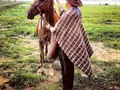 Si usted no conoce el llano lo invito para que lo conozca   #Casanare #caballos #cavalos #llanosdentro #sabana #llanura
