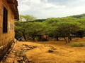 EL MORRO MTB JUARUCO/SANLUIS #ELMORRO #barranquilla #colombia #ig_colombia #enmicolombia #endorfinasmode #mtb #tree #nature #sky #sun #cloud