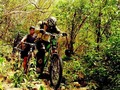 IN THE WOOD #barranquilla #colombia #wood #ig_colombia #igerscolombia #enmicolombia @iiguaran #mountain #bike #bikers #dh #downhill #tree #scott #bike #protec