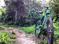 TROCHASTYLE #barranquilla #colombia #ig_colombia #sunday #morning #jungle #trochastyle #bike #scott #wood