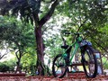SCOTT BIKE #barranquilla #colombia #park #endorfinasmode #bike #ig_sport #ig_colombia #cicloruta #fiestadelamusica #tree #nature