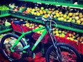 Fruit+Bike