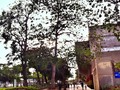 PARQUE TOMAS SURI SALCEDO #barranquilla #colombia #ig_colombia #igerscolombia #enkillamequedo #natural #instamoment
