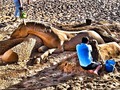 ARTE EN LA PLAYA RODADERO/SANTAMARTA JAJAJA #beach #sun #barranquilla #santamarta #art