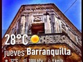 FLY DOVE #enmicolombia #weather #instaweather #instaweatherpro #sky #outdoors #nature #instagood #photooftheday #instamood #picoftheday #instadaily #photo #ins #instapic #picture #pic @instaplaceapp #place #earth #barranquilla #colombia #day #morning #skypainters #building #dove