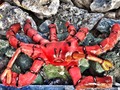 ARTISTAS PLÁSTICOS MUELLE PTO COLOMBIA #art #puer #ocean #sea #paint #enmicolombia #malecón