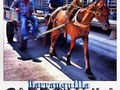 CARROMULA #TopRankInstaText #barranquilla #enmicolombia #horse #street #igerscolombia #day #animal #people #instapic #pic #picoftheday