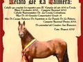 Reconocimiento de POTROS al mas querido y consentido por nuestra familia el gran RELATO DE LA PALMERA FC . Caballo que nos dio miles de alegrías y satisfacciones el cual pasó a la historia de los grandes caballos de Colombia. El es una leyenda y las leyendas nunca mueren el perdurará en nuestros corazones . 🙏🏻