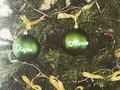 Seguimos recibiendo fotos de nuestros lindos clientes, decorando su arbolito de navidad con las bolitas personalizadas. . . #panama #pty #bolitas #navidad #clientefeliz #merrychristmas #ventaspanama #clientes
