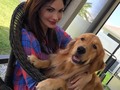 Alguien está muuuuuy travieso 🐶 @lukeolav pero con esa carita, es imposible regañarlo 🙊 🤣 No tengo corazón para eso ☺️ Lo amo ❤️ / I need a book... something like: "How to get a well-behaved indoor dog" 🤣 or "How to deal with the I didn't do it face" 😜 #lukeolav