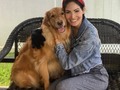 Good advice 💡 If you’re a dog owner,  go to @alberts24.com and do yourself a favor 👉🏻 look for the Deshedding Pet Glove 🎉  You all know how much I love @lukeolav 🐕❤️ He’s a very kind and loving dog 😍, until he 👀 a brush 🚨 🤦🏻‍♀️🤣. He hates to be brushed so much, that he gets 😡, plus it takes forever 😳, so I had to look for another option 🙆🏻‍♀️ to make my life easier.  Great news is: I found a special glove🧤that allows him to be petted, at the same time that takes that extra hair away, and helps me to keep the house clean 😁. The best part is that is very easy to peel and throw away the hair after grooming 🙌🏻. Take a look at the videos to see our journey ☺️. Hope you like it as much as we do ❤️. Hint: use my discoun for 15% off 👉🏻 Cynthia ( Link @ bio)  #pet  #pets  #petsofinstagram #petstagram  #petowner #dog #dogstagram #dogs #instadog #dogoftheday #deshedding #desheddingglove