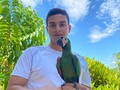 🍃🍂🐦