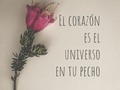 El corazón es mucho más que una máquina que bombea sangre. Es el portal a la consciencia. La conexión a la divinidad. A tu Ser, tu alma. El corazón tiene toda la sabiduría y el conocimiento del Universo. No busques afuera, la respuesta esta en tu pecho.  Detrás del esternón, donde tu consciencia encuentra hogar, paz, serenidad, agradecimiento.  Donde hay unidad y armonía!! Donde se siente bien y quieres quedarte.  Disfrútalo 🌷 .. #amorincondicional#espiritualidad#daliaedery#equilibrio#armonias #apoyo#crecimiento#corazon# #love#heart#heartmath#heartmathinstitute#admiracion#flor#creatividad#arte#inconsciente#consciencia#dualidad# amorincondicional # ego# comparacion# unidad# coherencia# luz#amor # 2020# evolucion # corazon# espiritualidad# selflove# amorpropio# colombia# poderfemenino#femenino# #daliaedery#hadas#bosque#magia#selflove#maravillosa#creencias#creenciaslimitantes#bioneuroemocion
