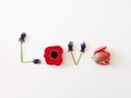 Que tus palabras sean de Amor.  💕 Pero si no te gusta usarlas, que tus pensamientos sean de Amor.  💕 Pero si no logras cambiar la película, que tus actos sean de Amor. 💕 Y si aún no encuentras una forma de expresar Amor, dátelo a ti misma. 💕 Amando cada partícula y Ser que te cruces en tu camino. 💕 Hazlo como un ejercicio al principio, un hábito después y una realidad fluida de abundancia y paz muy pronto será, no solo tu mundo, sino el de aquellos que te rodean (incluyendo barrio, ciudad, país, planeta..) y solo desearás hablar, pensar, hacer y sentir en la vibración de Amor. 💕 ¡¡Feliz Semana !!💖 . . . .  #miedo#amor#libertad#relatos de mujer#niunamas#derechoshumanos#transformamosvidas#violenciadegenero#violencia#abuso#felicidad#flores#cristlaes#frases#mujer#mujeres#hijas#hijos#familia#dependenciaemocional#soñar#naturaleza#chocolate#dignidad#love#corazon#salud#bienestar#daliaedery