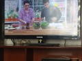 Mirando mi programa de cocina favorito !!!! Esperando esa ensalada verde que tiene una pinta! #programadetv #lareceta