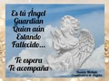 Feliz y bendecido dia... Feliz fin de semana . Es importante que sepas . Que aún estando en ese plano o dimensión diferente . Tú Ángel Guardián no te abandona, te acompaña . Te guia, te orienta y te explica detalladamente lo que te paso . Te ayuda a disminuir tú nivel de ansiedad estabdo fallecido . #Falleciliento #angeles #Dios #acompañamiento #manejodeldolor