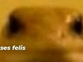 Mi mamá: *Respira* Yo: