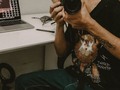 La fábrica de sueños nunca se cierra.