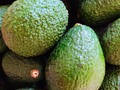 Mi mejor amigo me regaló muchos aguacates, es el mejor🥺🥺🥺 andersonparra07 🤍