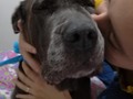 Mash 🥺🥰🖤🤍