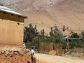 Camino del pisco - Valle del Elqui 🇨🇱