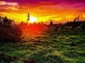 🌄