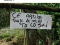 La vaina e’ que se entienda ✌🏾