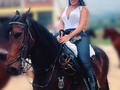 🐴💖✨