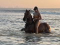 la pasión por lo que amas te hará entender que los límites son mentales.🐴❤️‍🔥