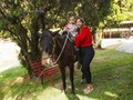 La Granja de Isaac una tarde con sus personajes favoritos  Familiares y Amigos disfrutaron una autentica fiesta en la #granja  Fotografia @eliezerhoyosfotografo  Locación @clubitalven  Un evento con el sello #decoblus  #granja #party #granjaparty #fiesta #animales #caballo #vaca #corral #cochino #conejos #pollos #gallina #gallo #ovejo #chivos #molino