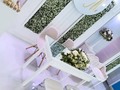 🌿💐👰BODA CIVIL 👰💐🌿 Desde siempre las #bodas han sido un gran momento especial! Y a nosotros nos encanta ser parte de ellos!   Así Lucio la unión civil de Roberto y María 👰🤵   Con el clásico #blanco y el toque #floral creamos un ambiente romántico y en armonia.  #bodas # #wedding #civil #party #deco #puertoordaz #ciudadguayana #soypuertoordaz #flower