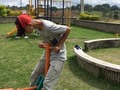Ejercitándome en cuarentena 🤣🤦🏽‍♂️