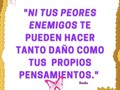 “Tu peor enemigo no te puede dañar tanto como tus propios pensamientos. Ni tu padre, ni tu madre, ni tu amigo más querido, te pueden ayudar tanto como tu propia mente disciplinada” ― Buda Gautama  #pensamientos #motivation #fracesmotivadoras #frases #motivacion #love #instagram #yosoypoderosa #yosoy #viral