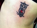 #tattooink #tattooist #tattooed #inkmaster #tattoos #tattoo #neotraditionaltattoo #rosatattoo #bogotanorte #colombiaink #buhoentattoo #art🎨