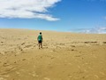 Las dunas de San Cosme y San Damián,sin romantizar. Antes 2016/ahora 2023