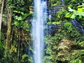 Cascada #Rocafuerte #SanJuanBosco #MoronaSantiago #Ecuador #DinamolPhotography #canon7dmarkii
