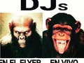 Así ay muchos jajaj #dj #venezuelaelectronica #electronica #underground #caracas