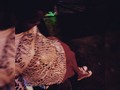 @quality507live