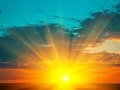 Sunlight offers surprise benefit: It energizes infection fighting T cells. - Bright Star Apothecary Harm Reduction Initiative Research
